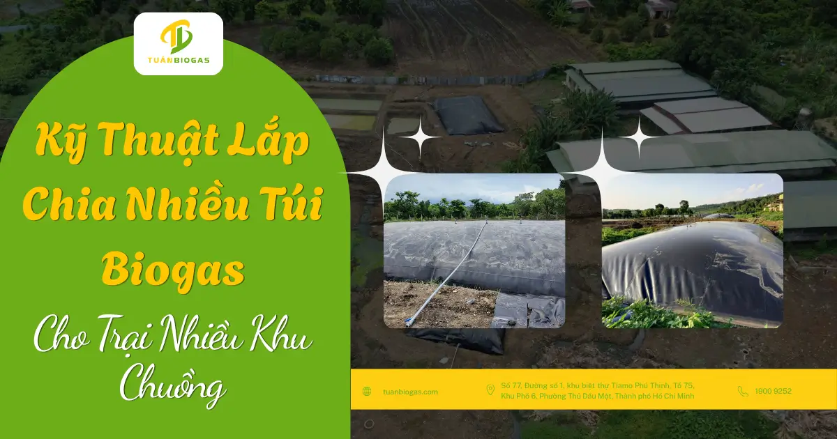 Kỹ Thuật Lắp Đặt Nhiều Túi Biogas Cho Trang Trại Có Nhiều Khu Chuồng